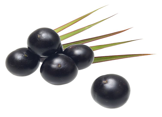 Acai Berries - Health Benefits