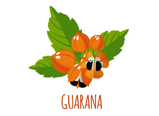 Guarana Extract - The Natural Caffeine to Boost your Me