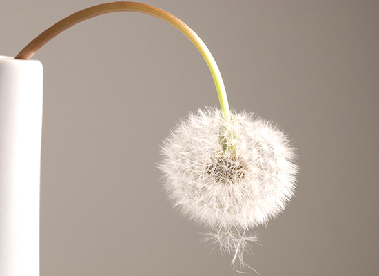 Using your mind, body and spirit to help your ED