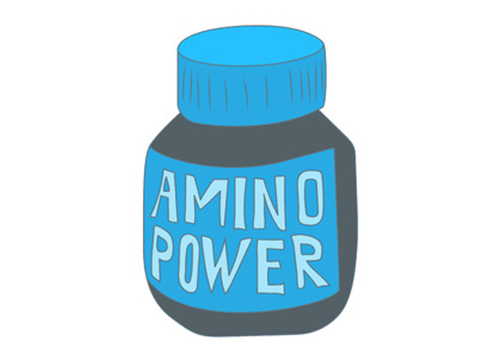 What are BCAA Amino Acids?