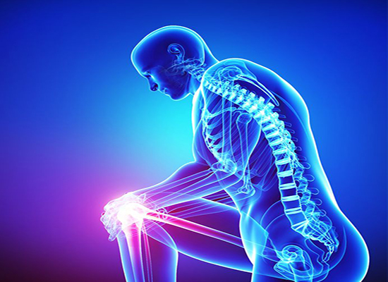 Foods that may help with your Joint Degradation