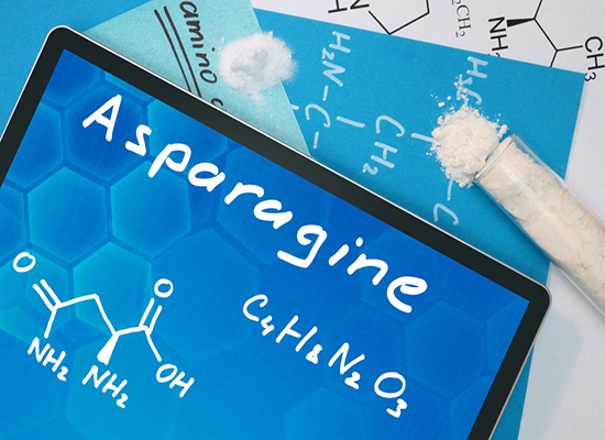 Learn about Amino Acids - Asparagine