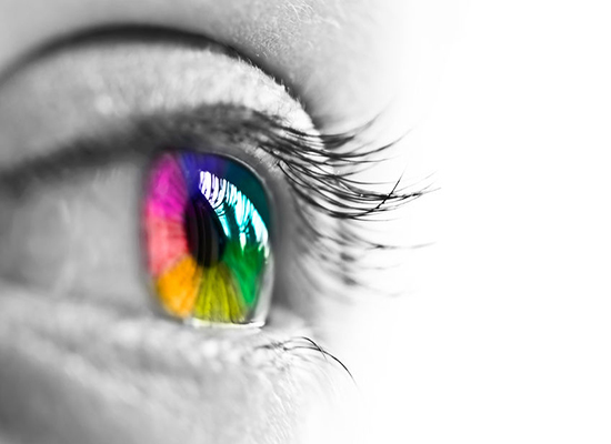 Natural Ingredients That Support Great Eyesight